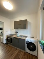 Renovierte Häuser/Wohnungen in Weißenthurm/Umgebung Bild 29