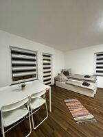 Renovierte Häuser/Wohnungen in Weißenthurm/Umgebung Bild 4