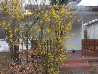 Haus Schmidt Bild 10