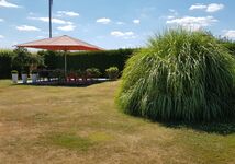 Garten , Terrasse