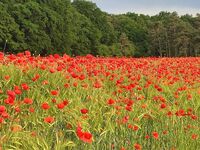 Monteurzimmer Paradies Bild 10