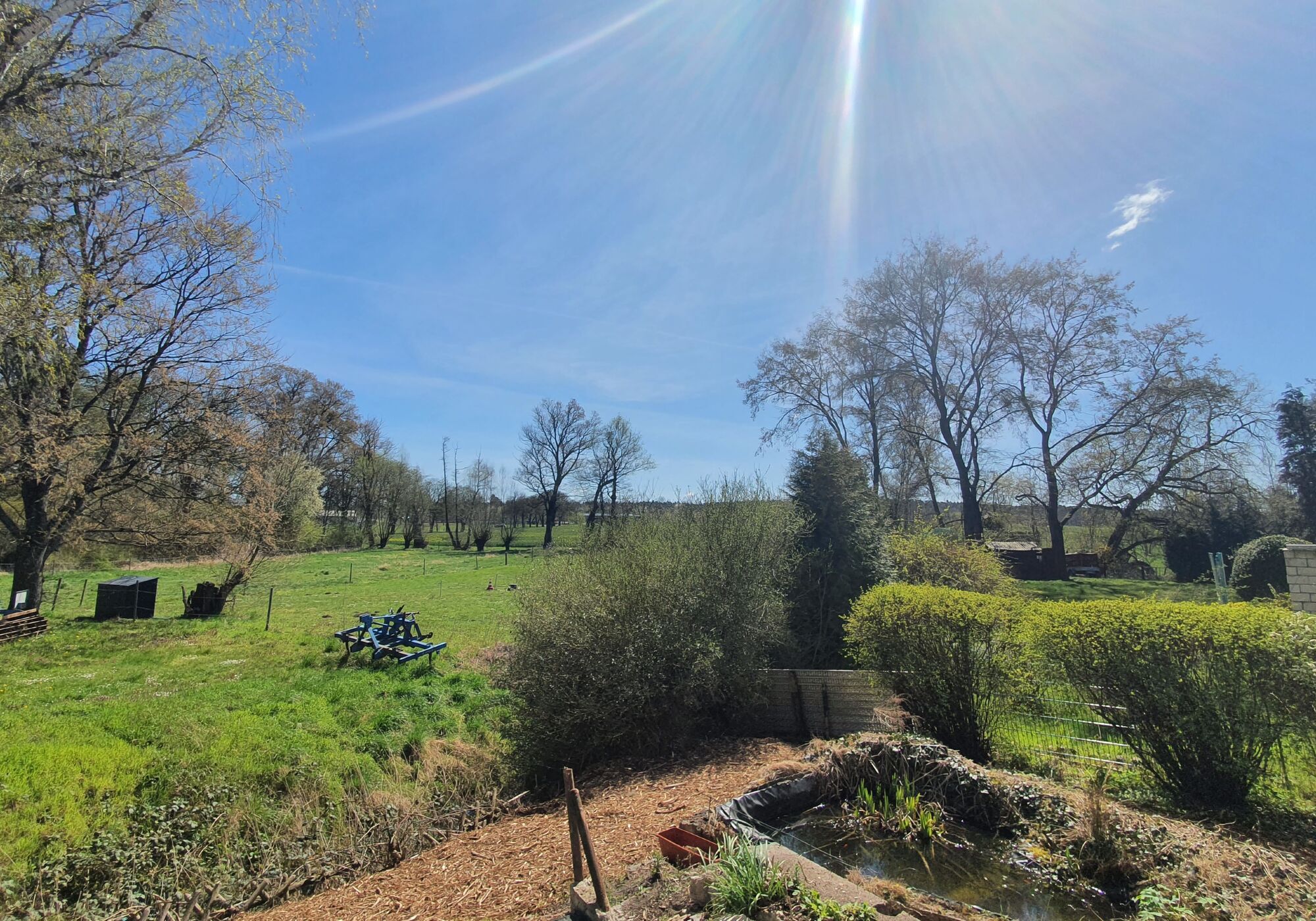 Garten / Terrasse