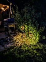 Selker Noor Apartments UG Bild 22