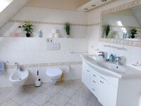 Morten Thams Bild 13