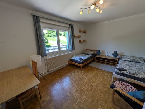Monteurzimmer Pinkafeld Picture 4