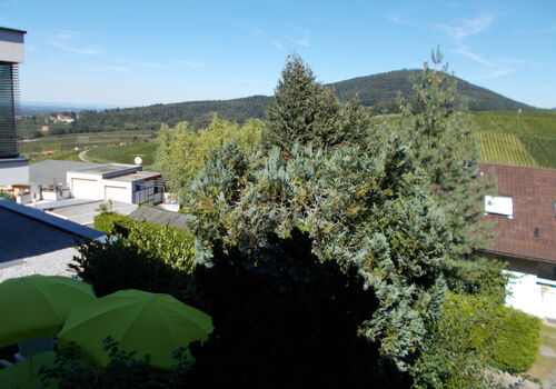 Möblierte Appartments - Wohnen auf Zeit Bild 3