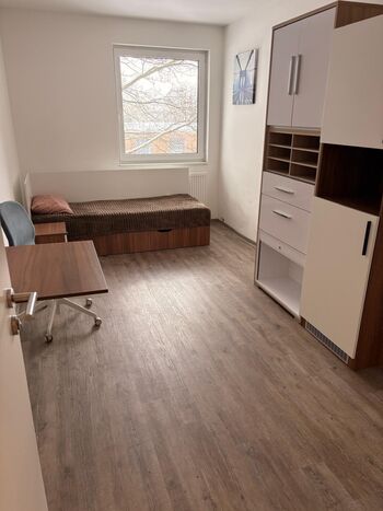 Michael Sekler-Objekt: Peininger Straße 237, Salzgitter Bild 4