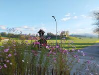 Blick von der Terrasse