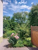 Apartment Nähe Limburg Diez Bild 14