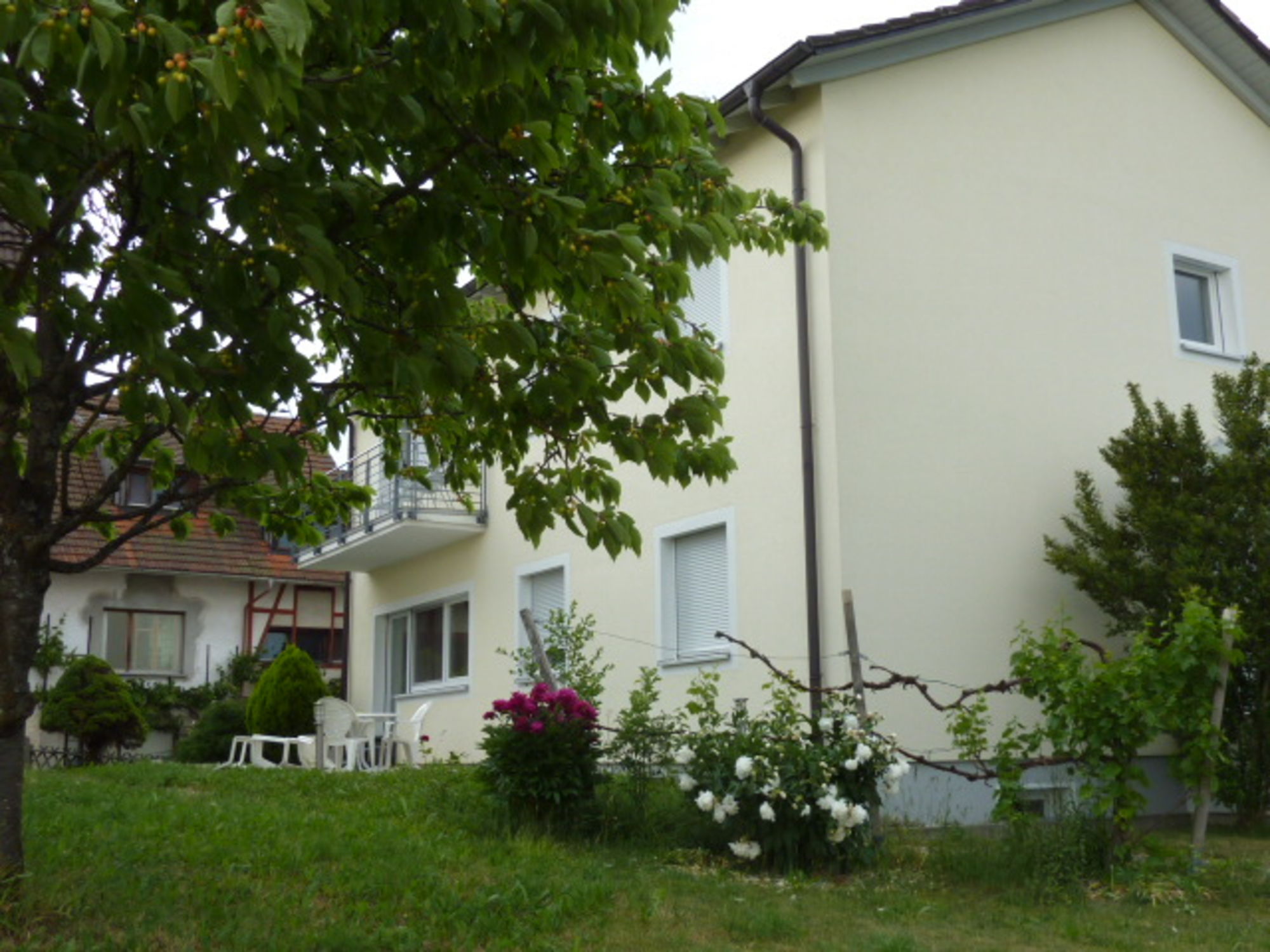 Blick auf Terrasse