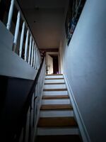 Wohnung Brilon Zentrum Bild 7