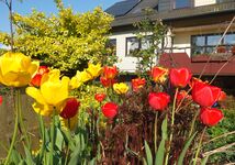 Steraland Ferienwohnung Landkreis Göttingen Bild 1