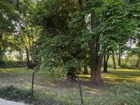 Monteurapartments in traumhafter Kulisse am Grambker See Bild 2