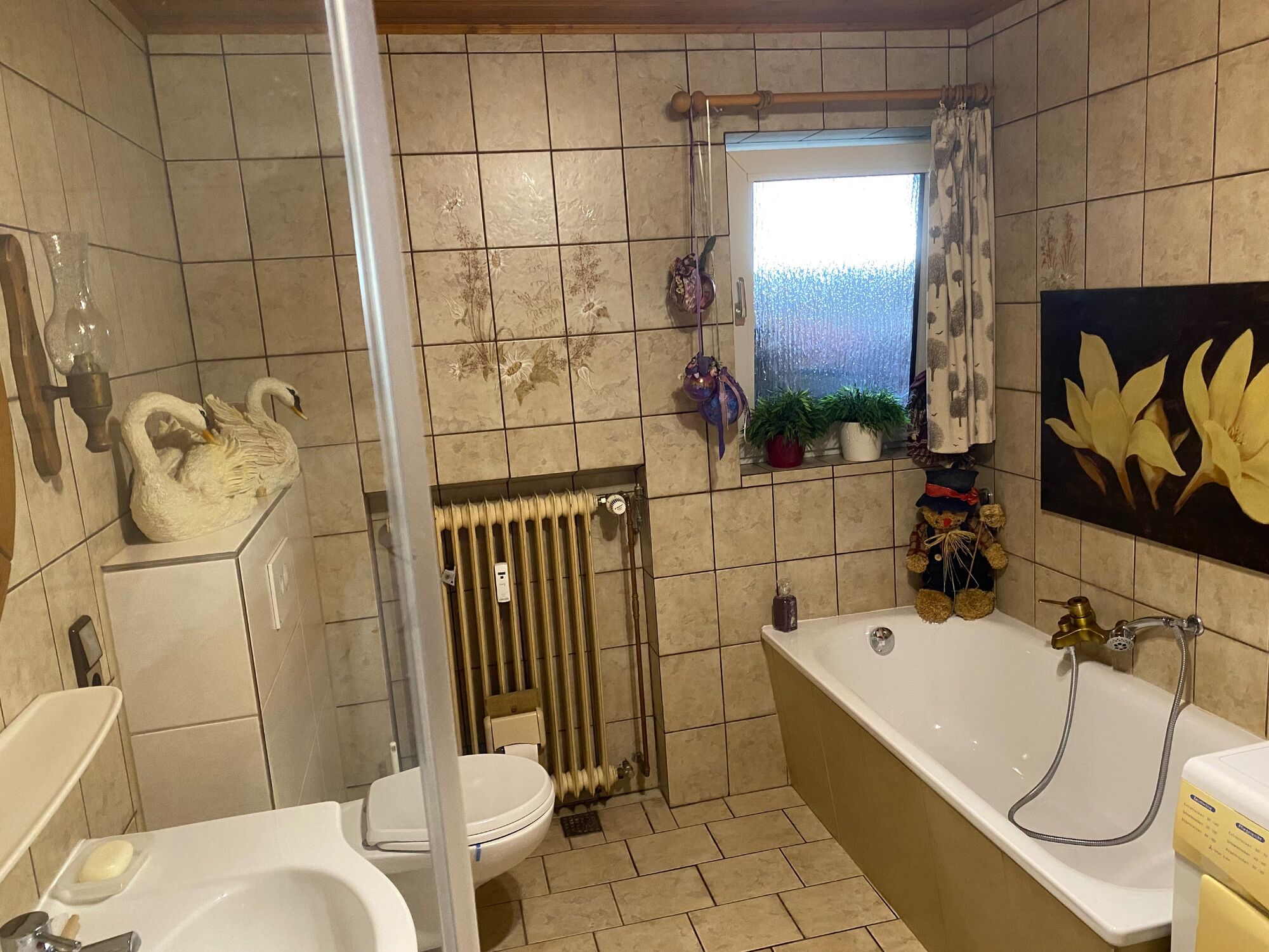 Bild 5