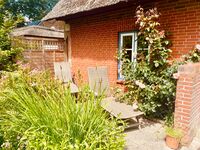 Wohnung Kegelrobbe Bild 15