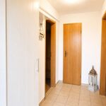 Wohnung Kegelrobbe Bild 8