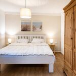 Wohnung Kegelrobbe Bild 1