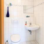 Wohnung Kegelrobbe Bild 14