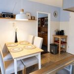 Wohnung Kegelrobbe Bild 18