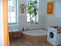 Alter Pferdestall Dreveskirchen (165 m2) 8 Personen Bild 8