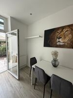 neu renovierte wohnungen / bei bedarf auch das ganzes haus mit garten Bild 6