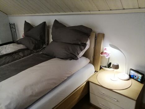 Alex- Wohnraum Vermietung Bild 2