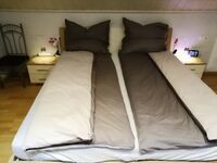 Alex- Wohnraum Vermietung Bild 12