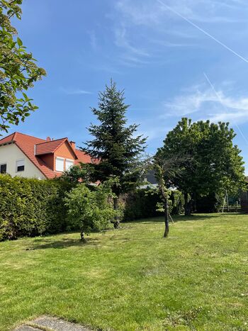 Wohnung in Artern Bild 3