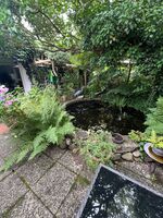 Gästezimmer Kilian Bild 17