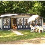 Gasthof zur Brennerei und Camping Ourtal-Idyll Bild 5