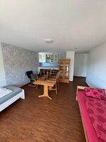 Große Zweizimmerwohnung in Gundelfingen, nähe Freiburg Bild 1