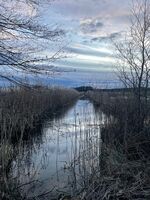 Gästezimmer Bild 21