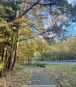 Gästezimmer Bild 19