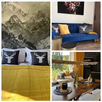 Ferien Wohnung Monteur Handwerker Unterkunft 8 Betten Cham Viechtach Bild 2