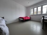 No2: Arbeiten im Hopfenland: Erlebe die Hallertau Bild 4