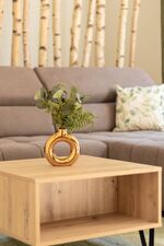 Rhön und Relax Ferienhaus/Terrasse/Kinderzimmer/Whirlpool Bild 6