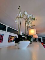 Hotel zur Post Bild 9