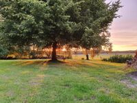 Gästezimmer an der Linde Bild 6