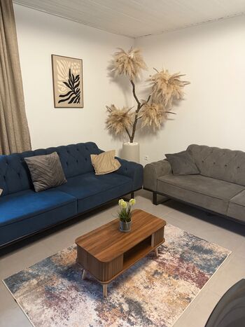 Tiger Apartment 1 Bild 2