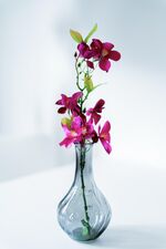 Wohnung Papke Bild 14