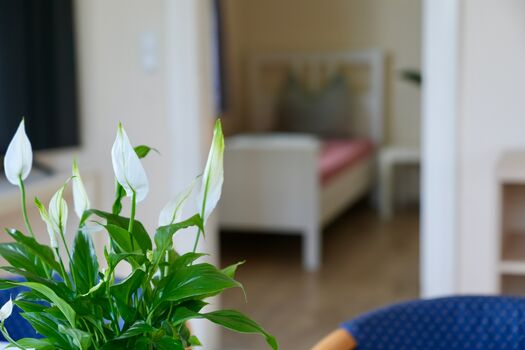 Apartments Reutlingen / Metzingen / Tübingen