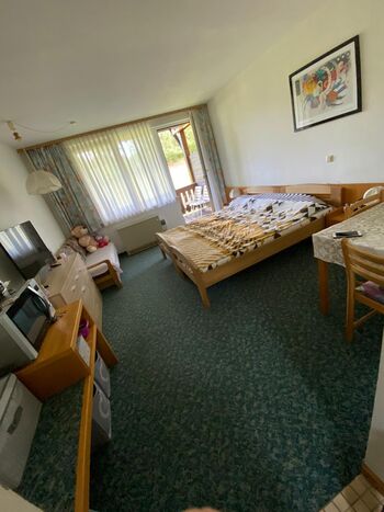 Pension Bömischbruck Picture 3