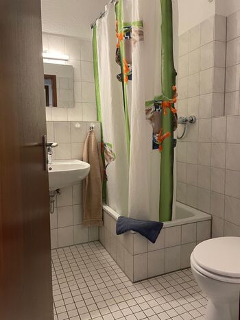 1 Zimmer Apartment Grenze Bild 4