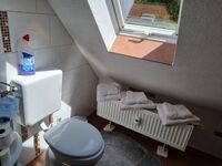 DG Bad/WC 1