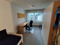 Monteurzimmer/WG-Zimmer Bild 5