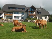 Biohof Gerspach Bild 21