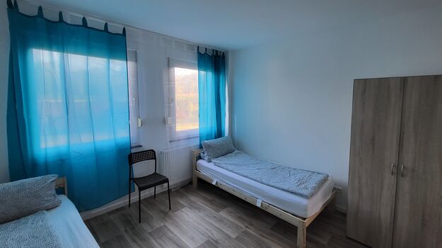 Alfa- Wohnung Picture 3