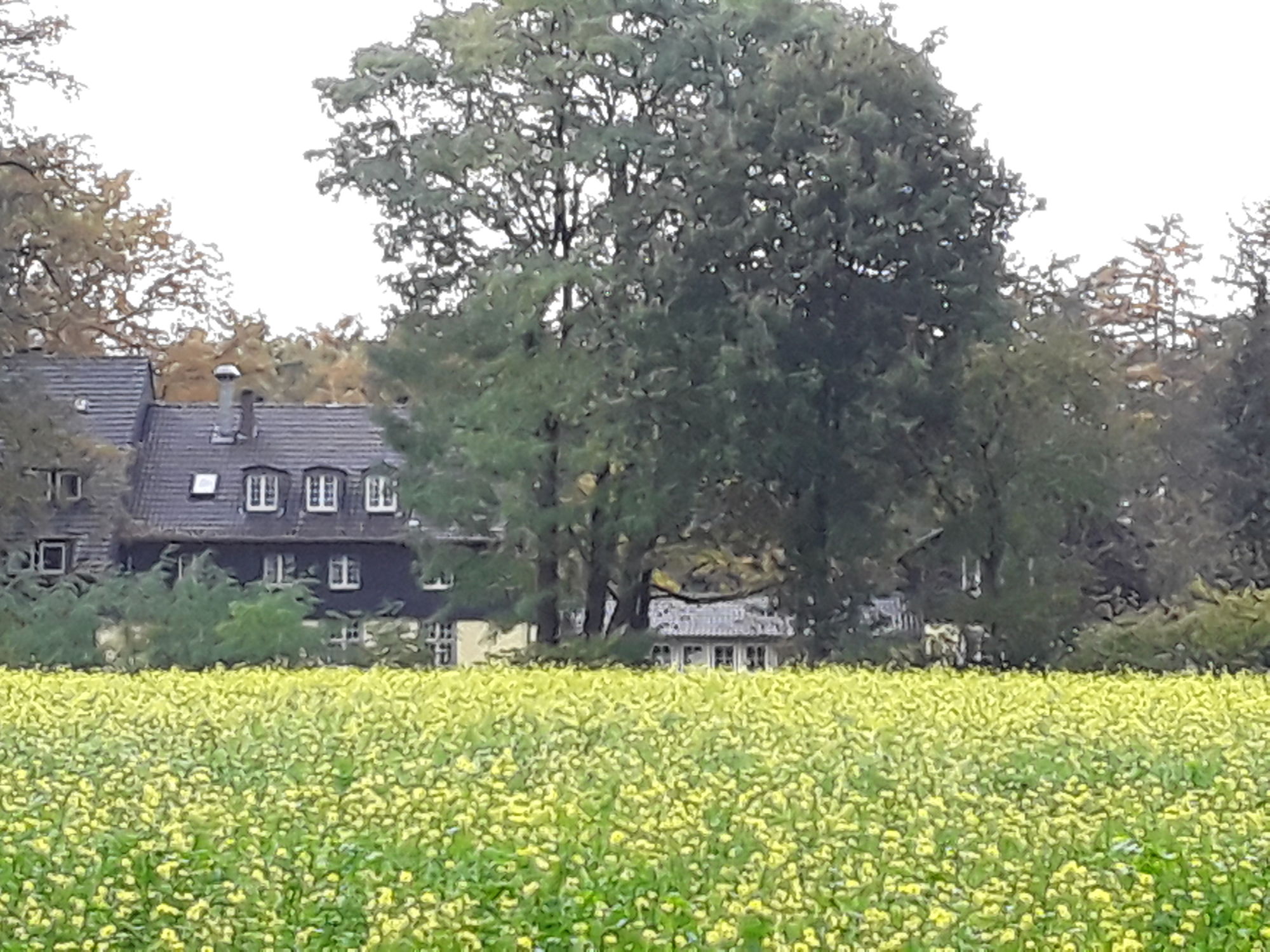 Abschalten und Ruhe genießen inmitten der Natur