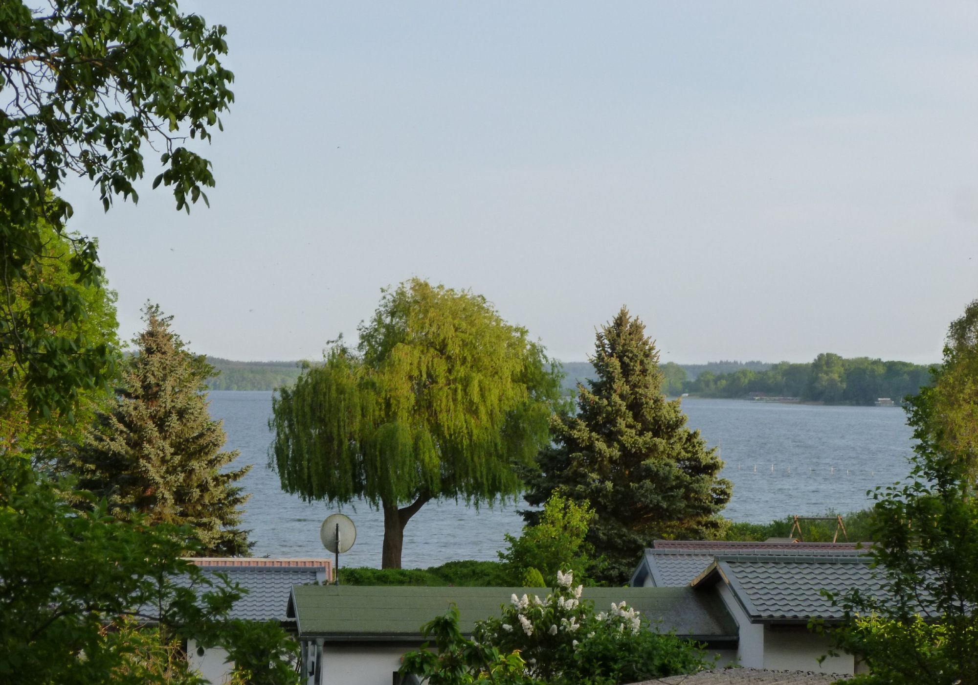 Seeblick zum Strand