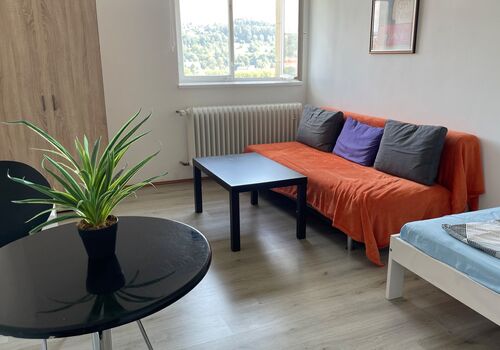 Ferienwohnung Vila Seiz + Studio Apartment Villa Seiz Obrázok 3